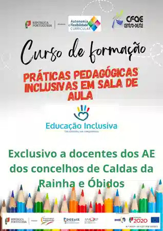 17905 - PARA UMA FUNDAMENTAÇÃO E MELHORIA DAS PRÁTICAS DE AVALIAÇÃO PEDAGÓGICA: PROJETOS DE INTERVENÇÃO NOS DOMÍNIOS DO ENSINO E DA AVALIAÇÃO
