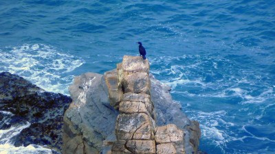 33NF2015 - Jornadas do Mar – Exploração sustentável dos recursos marinhos